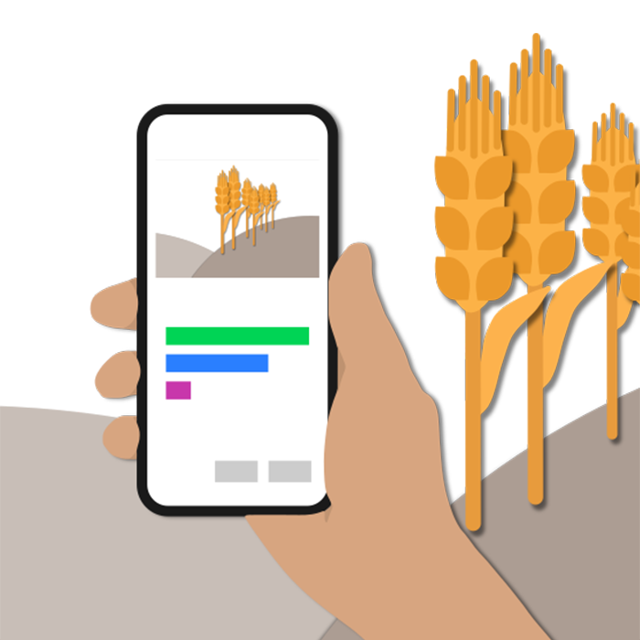 Illustration einer Hand mit Smartphone, das eine App zur Feldanalyse zeigt, daneben stilisierte Getreideähren.