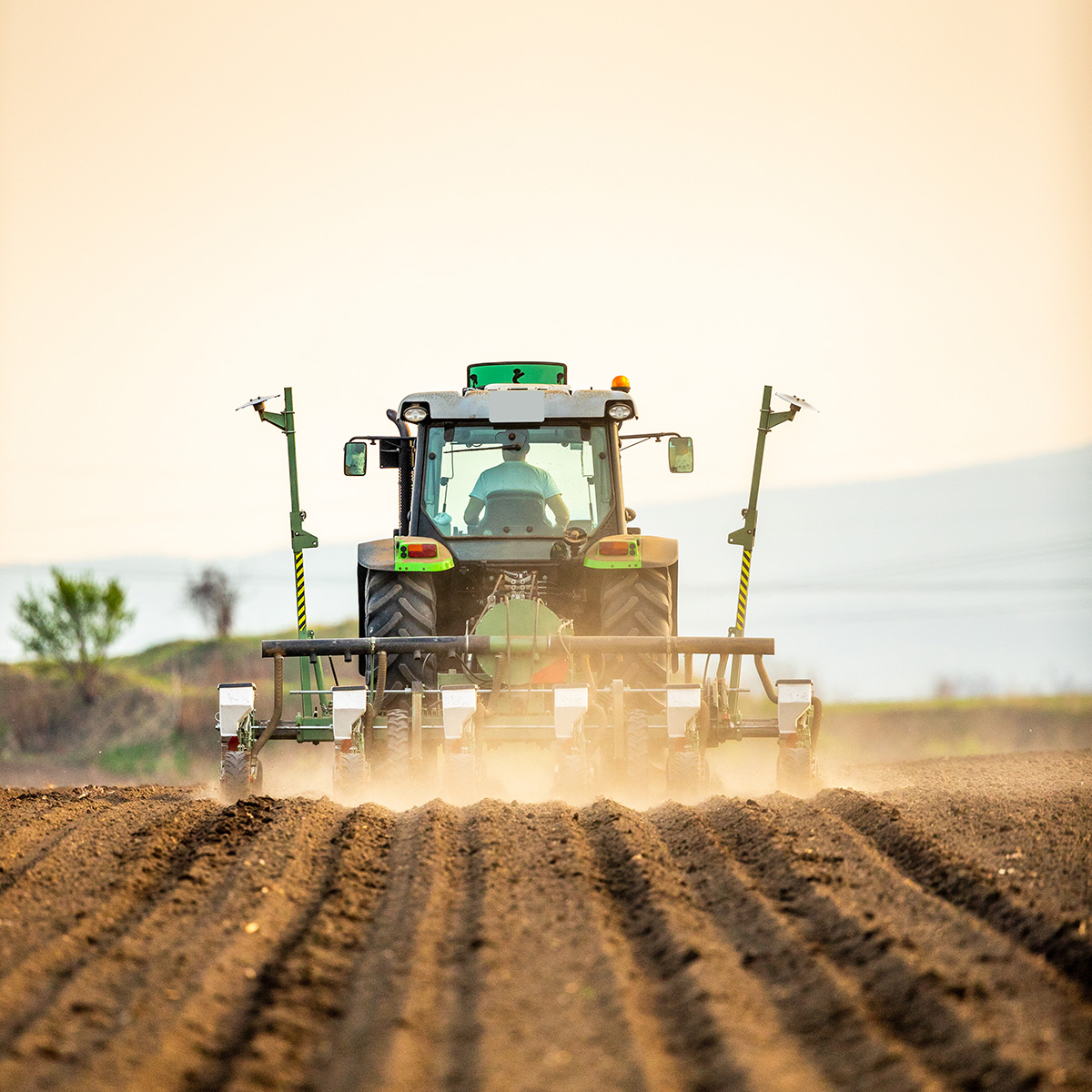 Traktor mit Sämaschine bei der Aussaat auf einem frisch gepflügten Feld im Abendlicht.