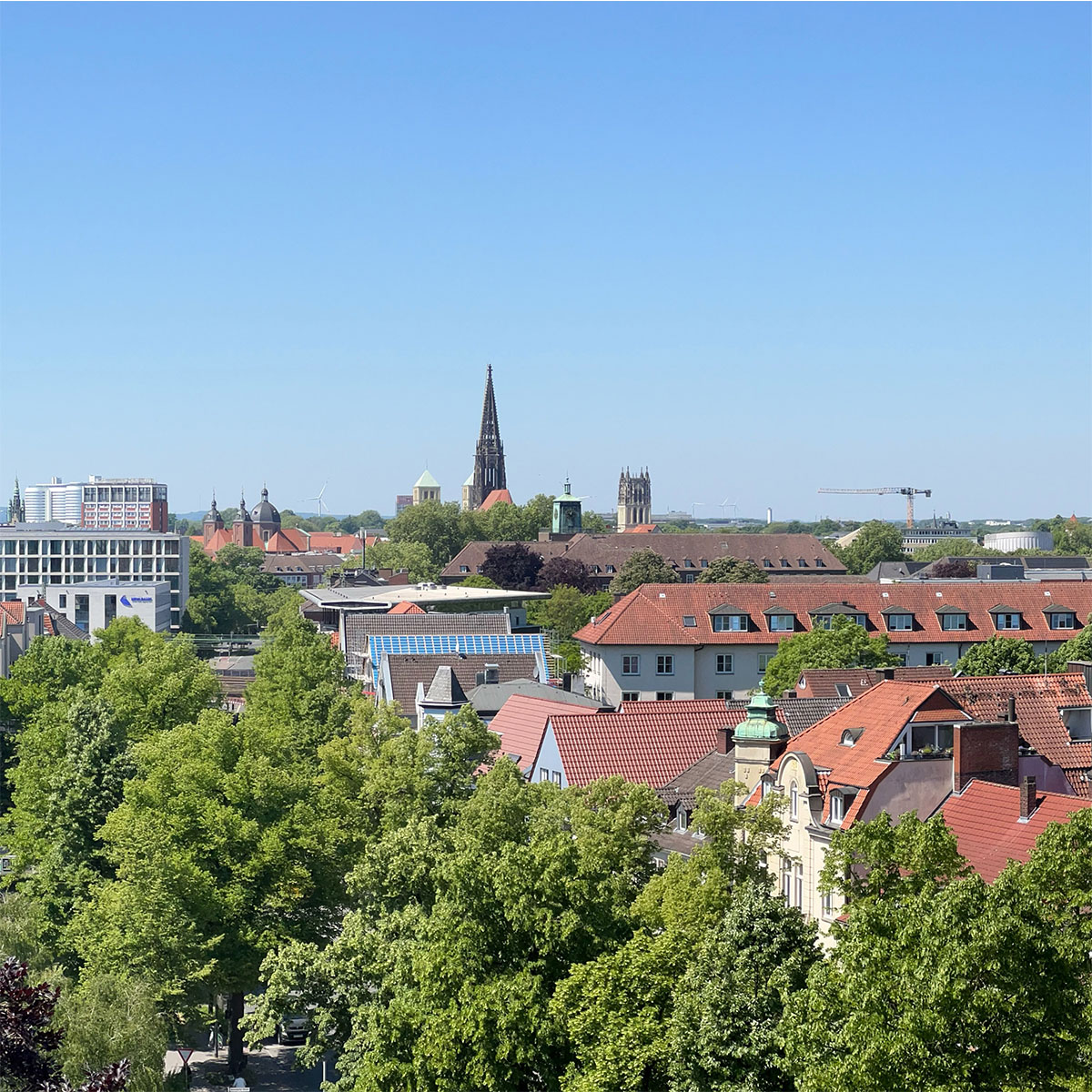 Panoramablick über die Dächer von Münster: rote Ziegeldächer und viel Grün im Vordergrund, dahinter Kirchtürme und die Silhouette der Innenstadt unter wolkenlosem blauem Himmel.