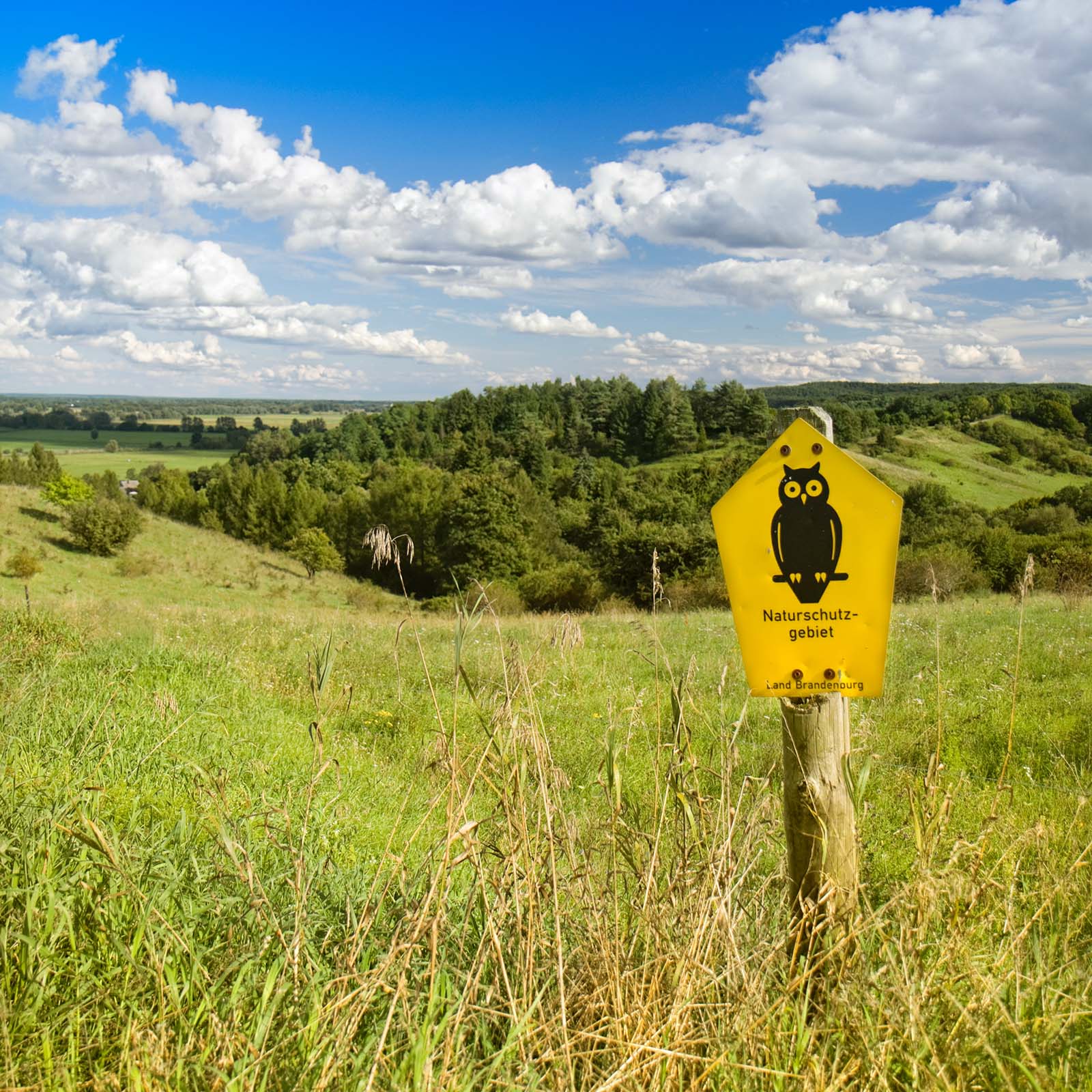 Gelbes Naturschutzgebiet-Schild mit Eulen-Symbol auf einer Wiese unter blauem Himmel im Land Brandenburg."