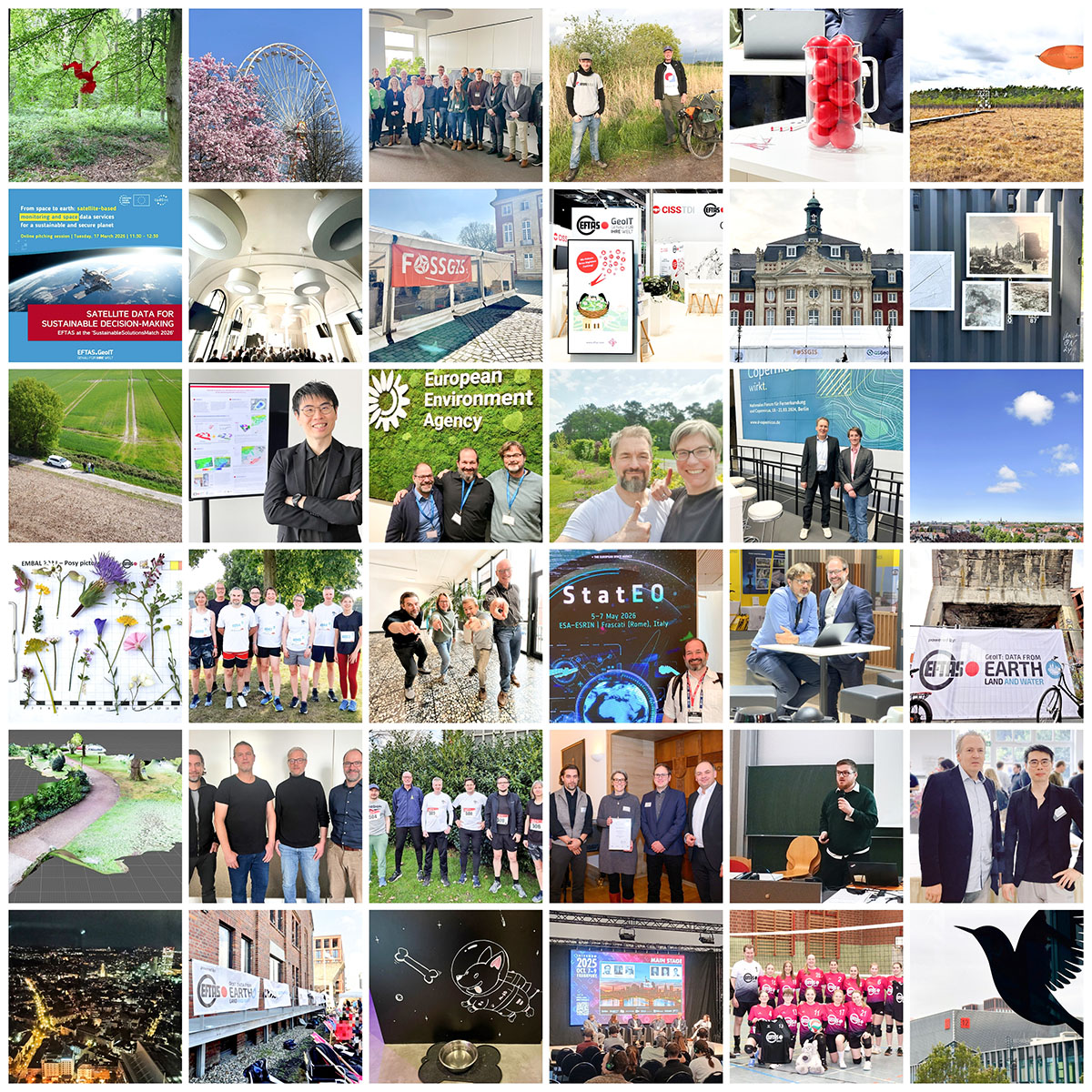 Collage aus vielen EFTAS-Momenten: Team, Veranstaltungen und Projekte.