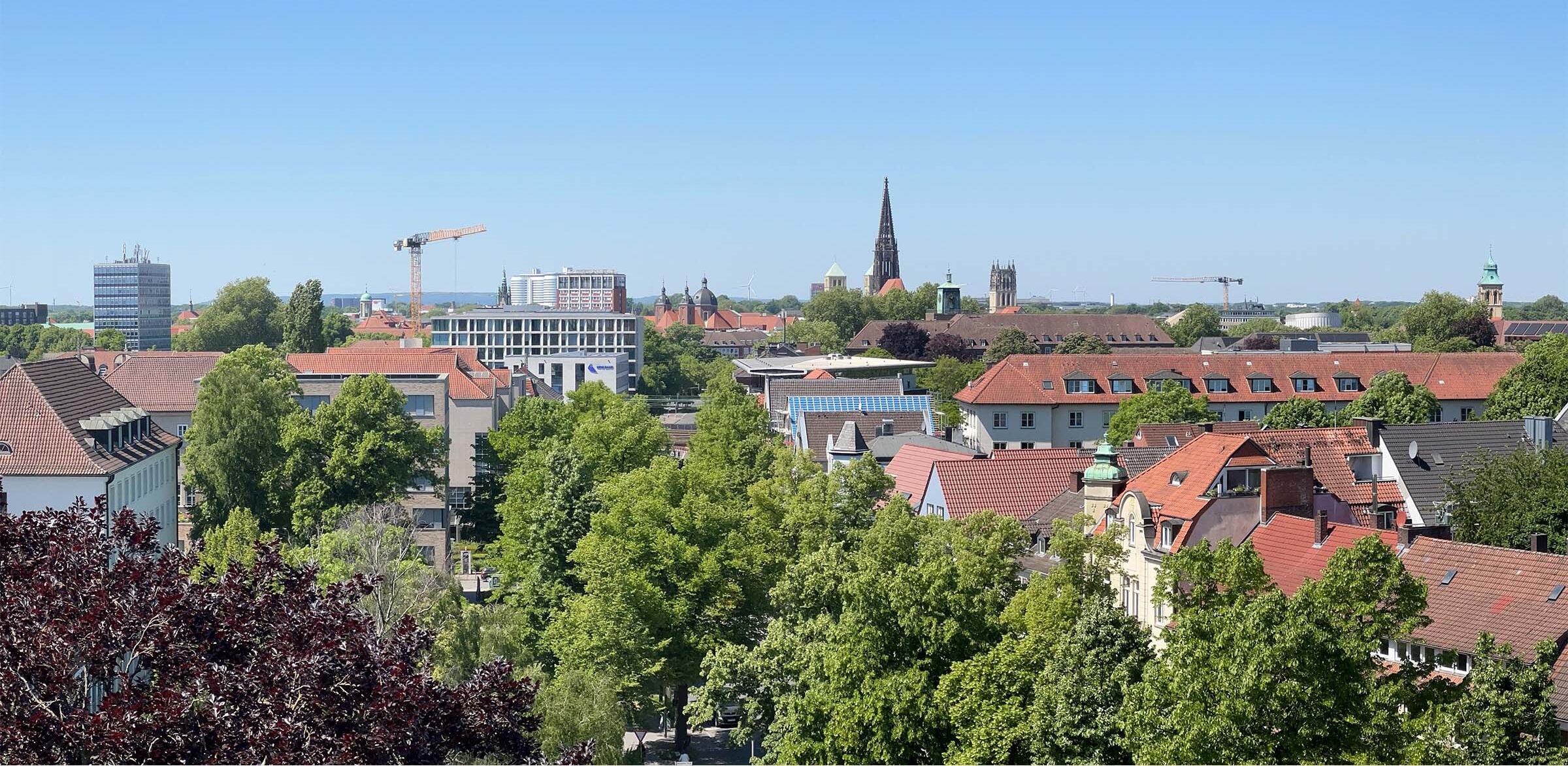 Panoramablick über die Dächer von Münster: rote Ziegeldächer und viel Grün im Vordergrund, dahinter Kirchtürme und die Silhouette der Innenstadt unter wolkenlosem blauem Himmel.
