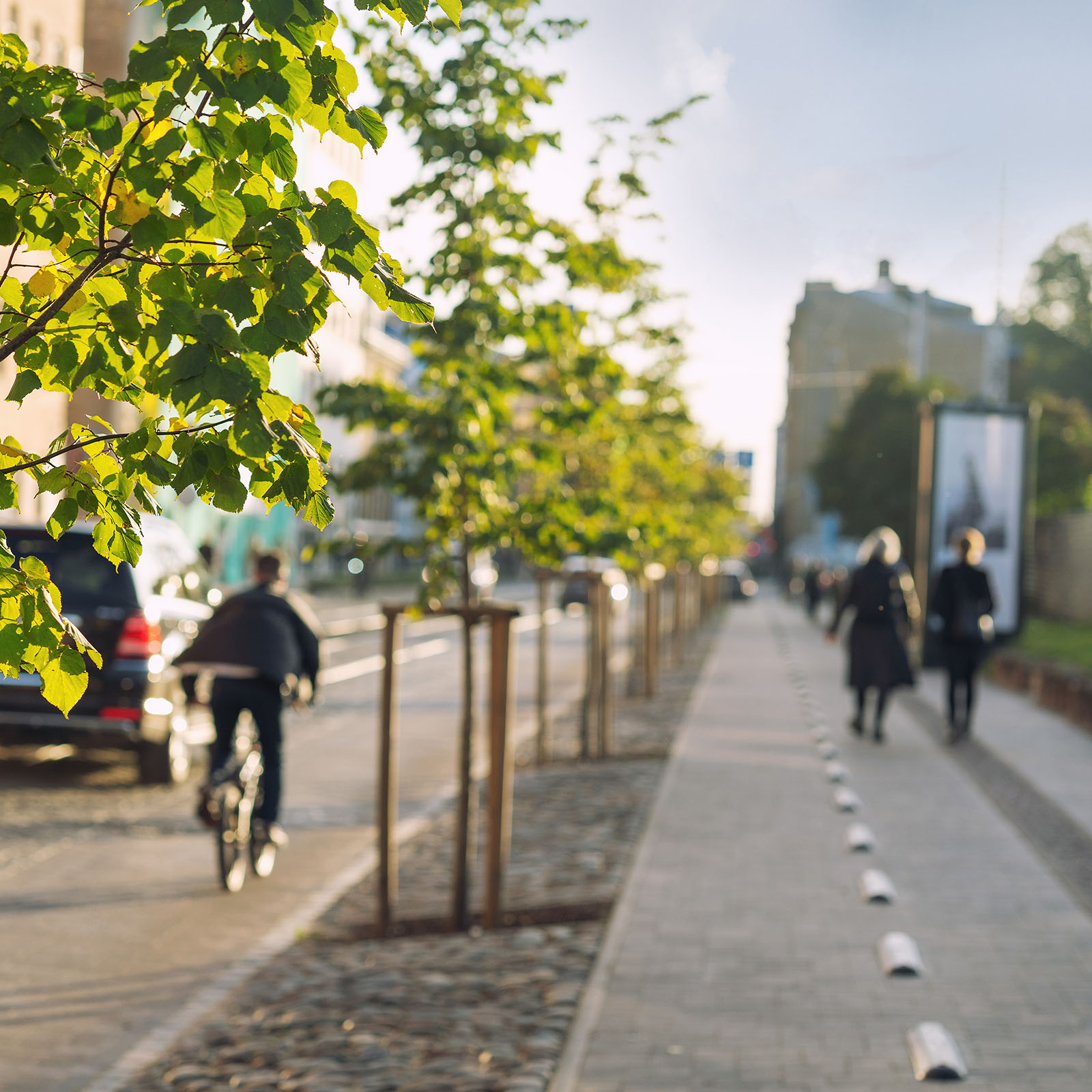 Städtische Straße mit jungen Straßenbäumen, einem Radfahrer und Fußgängern im Sonnenlicht.