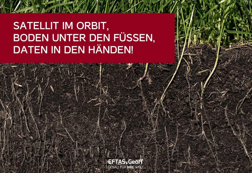 Seitlicher Anschnitt des oberen Bodenhorizonts, darüber etwas Gras, das in den Boden wurzelt.